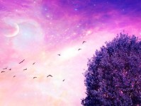 电脑桌面美化与收纳教程（提升工作效率，打造高级桌面环境）