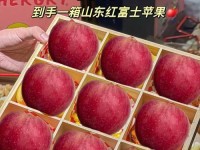 苹果销售形势如何？（市场表现及未来预测）