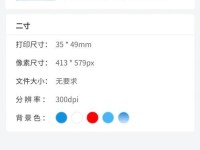 如何设置DPI大小以优化显示效果（简易教程，让你轻松调整显示分辨率）