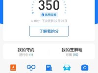 没芝麻信用分的意义和作用（探究没芝麻信用分对个人和社会的影响及其关键因素）