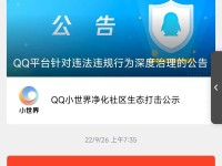 QQ登陆后电脑显示密码错误的原因及解决方法（密码错误问题解决指南）
