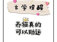 如何提高多巴胺水平（掌握关键技巧，让多巴胺助您迈向成功）