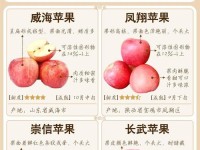 魅力无限的苹果世界（探索苹果的独特魅力与无尽可能性）