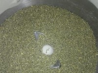 黑小米（探索黑科技的魅力，黑小米助你开启智慧生活）