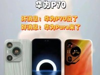 华为P系列（华为P系列）