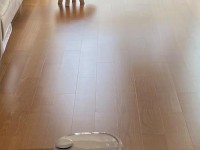 福维克扫地机器人的优势和功能介绍（探索福维克扫地机器人的自动化清洁新时代）