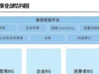 华为运营商BG的发展与成就（探索华为运营商BG的创新之路）