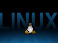 Linux系统的优势与应用（探索开源世界的精华）