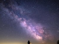 老蛙12（老蛙12）