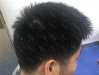 8.12越狱后的混乱与调整（探究越狱带来的影响，寻找未来的机会）