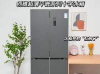 创维牌冰箱的性能及用户体验调查（探索创维冰箱的优势与不足，为您提供详尽的购买参考）