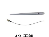 电信4G网络的优势与劣势（解析电信4G网络的性能与覆盖范围）