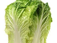 如何使用大白菜安装iOS系统（轻松了解大白菜安装iOS的步骤与技巧）