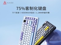 无极黑爵AK40耳机体验（揭秘AK40的声音表现与设计细节）