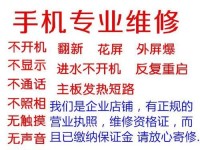 努比亚Z9mini拍照表现如何？（解析努比亚Z9mini的拍照性能，带你领略高品质的影像世界）