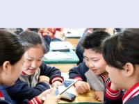 了解Boxfish英语（Boxfish英语怎么样？专注教学、科技创新与学习体验的关键）