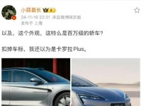 雷军幸运之星（基于雷军的幸运之星项目探索，探讨其成功秘诀与商业价值）