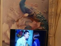 海信49EC300电视好不好？（性能、画质、音效全面解析，为你提供最全面的购买建议）